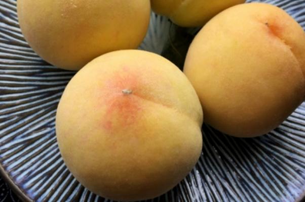 黃桃有維生素c嗎 黃桃有助于減肥嗎 黃桃有維生素c嗎 黃桃有助于減肥嗎