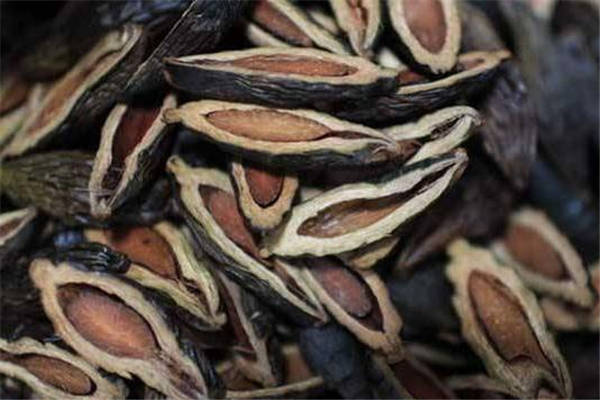 檳榔吃多了嘴巴張不開是什么原因 檳榔吃多了嘴巴張不開怎么恢復 檳榔吃多了嘴巴張不開是什么原因 檳榔吃多了嘴巴張不開怎么恢復