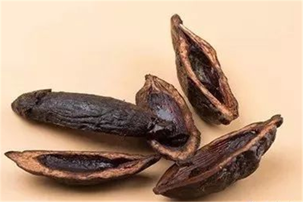 檳榔有酒精成分嗎 檳榔會查出酒駕嗎 檳榔有酒精成分嗎 檳榔會查出酒駕嗎