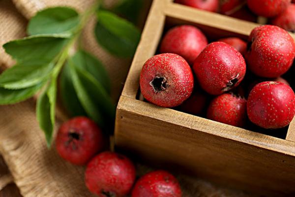 山楂的副作用 山楂是熱性還是涼性 山楂的副作用 山楂是熱性還是涼性