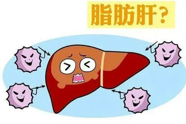 12歲男孩超重30斤患脂肪肝 脂肪肝的高發(fā)人群有哪些 12歲男孩超重30斤患脂肪肝 脂肪肝的高發(fā)人群有哪些