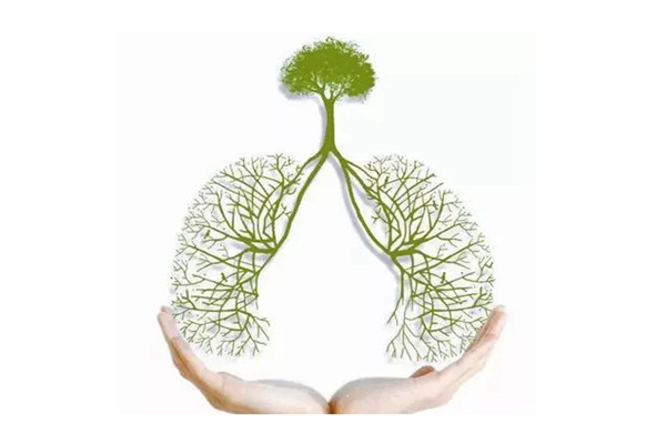 肺結核是什么病 肺結核是什么原因引起的 肺結核是什么病 肺結核是什么原因引起的