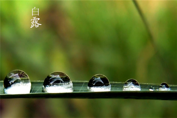 白露節(jié)氣的含義是什么 白露吃什么食物養(yǎng)生 白露節(jié)氣的含義是什么 白露吃什么食物養(yǎng)生