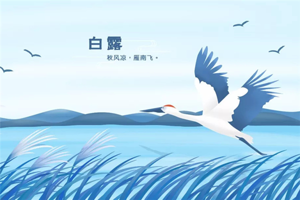 白露還熱不熱 白露會變涼快嗎 白露還熱不熱 白露會變涼快嗎