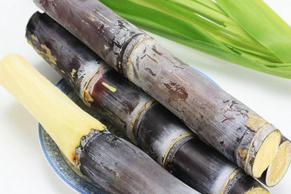 甘蔗能釀酒嗎 甘蔗可以做紅糖嗎 甘蔗能釀酒嗎 甘蔗可以做紅糖嗎