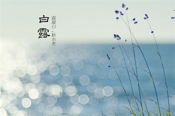 白露節(jié)氣的含義是什么 白露吃什么食物養(yǎng)生 白露節(jié)氣的含義是什么 白露吃什么食物養(yǎng)生