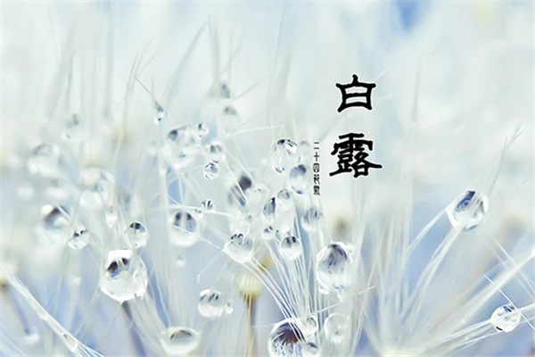 白露還熱不熱 白露會變涼快嗎 白露還熱不熱 白露會變涼快嗎