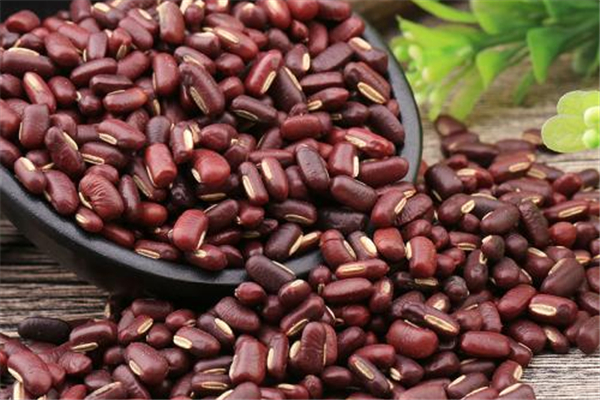 赤小豆吃完會拉肚子嗎 赤小豆拉肚子怎么回事 赤小豆吃完會拉肚子嗎 赤小豆拉肚子怎么回事