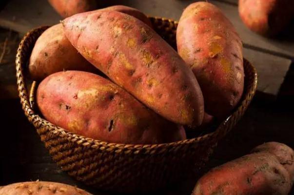 吃紅薯有助于排便嗎 生的紅薯排便效果會更好 吃紅薯有助于排便嗎 生的紅薯排便效果會更好