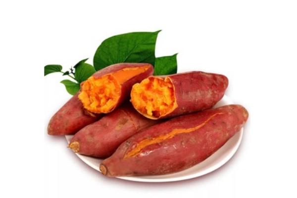 紅薯會(huì)脹氣嗎 紅薯會(huì)升血糖嗎 紅薯會(huì)脹氣嗎 紅薯會(huì)升血糖嗎