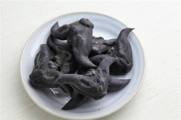 菱角是主食嗎 菱角吃了會不會長胖 菱角是主食嗎 菱角吃了會不會長胖