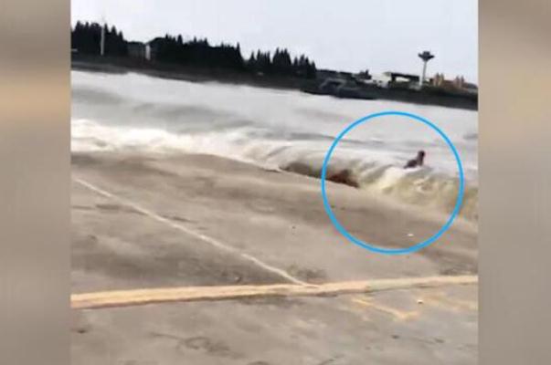 被錢(qián)塘江潮水卷走男子確認(rèn)身亡 觀潮時(shí)要注意哪些事項(xiàng) 被錢(qián)塘江潮水卷走男子確認(rèn)身亡 觀潮時(shí)要注意哪些事項(xiàng)