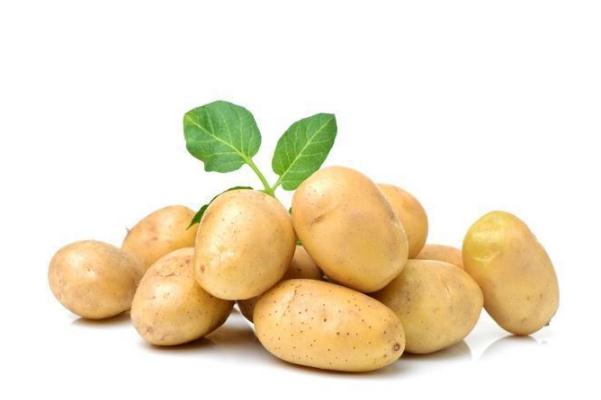 土豆會(huì)升高血糖嗎 土豆會(huì)氧化嗎 土豆會(huì)升高血糖嗎 土豆會(huì)氧化嗎