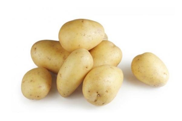 吃土豆可以減肥嗎 吃土豆是增肥還是減肥 吃土豆可以減肥嗎 吃土豆是增肥還是減肥