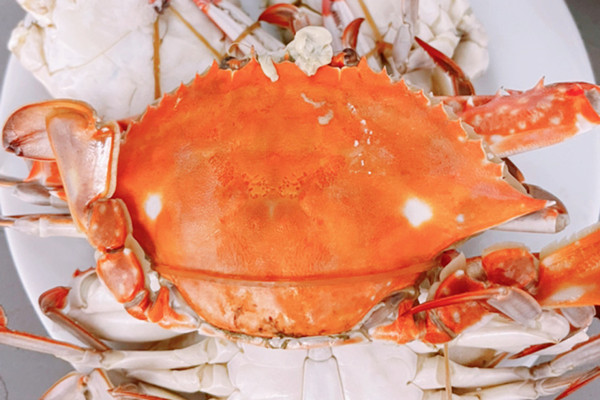 梭子蟹是海蟹嗎 梭子蟹是寒性食物嗎 梭子蟹是海蟹嗎 梭子蟹是寒性食物嗎