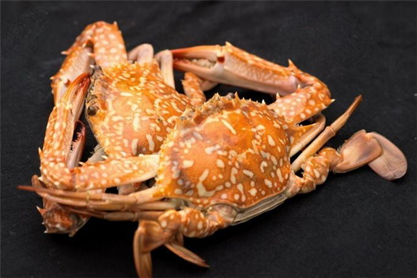 花蟹隔夜了還能吃嗎 花蟹隔夜了怎么存放 花蟹隔夜了還能吃嗎 花蟹隔夜了怎么存放