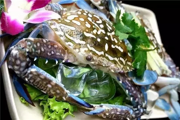 花蟹和梭子蟹哪個好吃 花蟹和梭子蟹的區(qū)別 花蟹和梭子蟹哪個好吃 花蟹和梭子蟹的區(qū)別