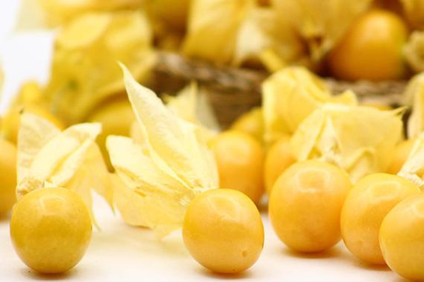 姑娘果會(huì)不會(huì)上火 姑娘果會(huì)不會(huì)過敏 姑娘果會(huì)不會(huì)上火 姑娘果會(huì)不會(huì)過敏