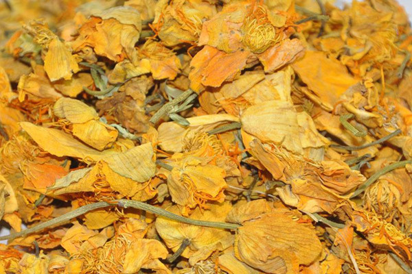 金蓮花小孩可以喝嗎 金蓮花孕婦能喝嗎 金蓮花小孩可以喝嗎 金蓮花孕婦能喝嗎