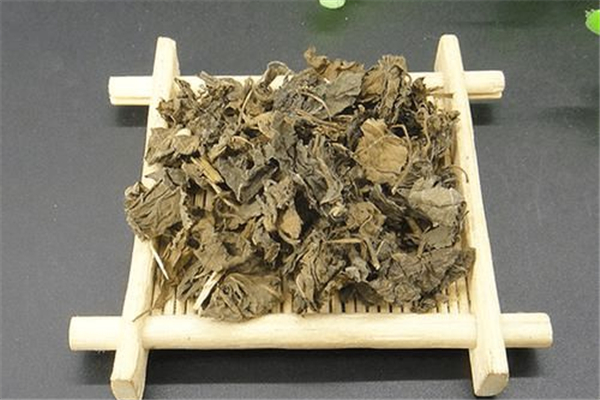 紫蘇葉可以用來泡澡嗎 紫蘇葉泡澡用新鮮的還是干的 紫蘇葉可以用來泡澡嗎 紫蘇葉泡澡用新鮮的還是干的