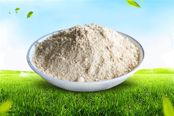 膳食纖維粉和酵素哪個(gè)減肥效果好 膳食纖維粉和酵素區(qū)別 膳食纖維粉和酵素哪個(gè)減肥效果好 膳食纖維粉和酵素區(qū)別