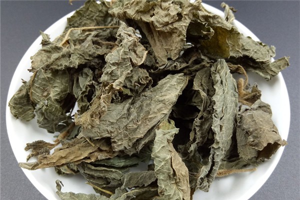 紫蘇葉可以治療感冒流鼻涕嗎 紫蘇葉對(duì)身體有什么好處 紫蘇葉可以治療感冒流鼻涕嗎 紫蘇葉對(duì)身體有什么好處