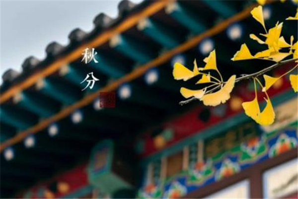 秋分的節(jié)氣含義是什么 秋分是幾月幾號2021年 秋分的節(jié)氣含義是什么 秋分是幾月幾號2021年