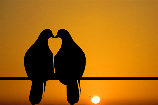 柏拉圖式愛情是不是同性戀 柏拉圖式愛情可以接吻嗎 柏拉圖式愛情是不是同性戀 柏拉圖式愛情可以接吻嗎