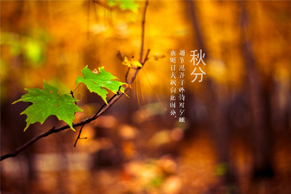 秋分到來預(yù)示著什么 秋分養(yǎng)生吃什么食物 秋分到來預(yù)示著什么 秋分養(yǎng)生吃什么食物