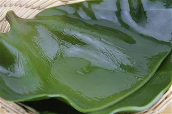 海帶煮多久可以熟 海帶的功效和作用 海帶煮多久可以熟 海帶的功效和作用