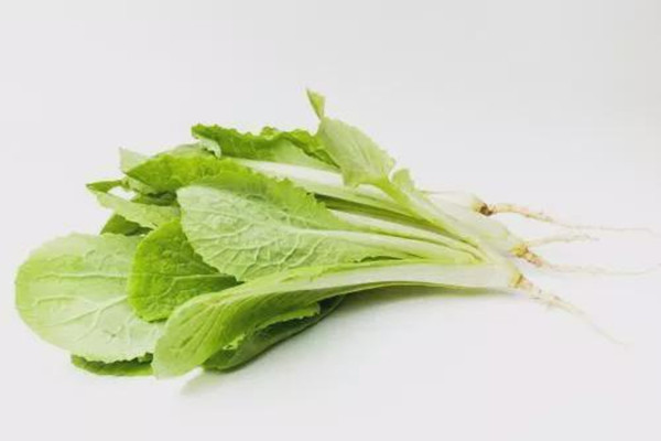 清炒小白菜需要焯水嗎 清炒小白菜的做法 清炒小白菜需要焯水嗎 清炒小白菜的做法