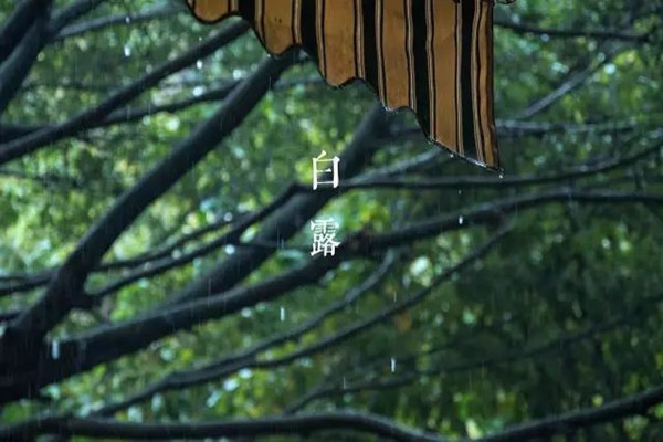 白露需要注意什么 白露需要吃什么 白露需要注意什么 白露需要吃什么