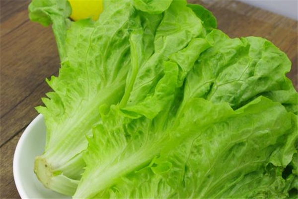 生菜減肥效果好嗎 生菜怎么吃減肥效果最好 生菜減肥效果好嗎 生菜怎么吃減肥效果最好