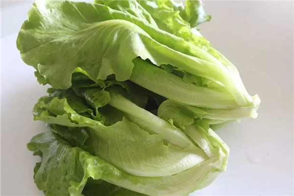 生菜對胃有傷害嗎 生菜的功效和作用 生菜對胃有傷害嗎 生菜的功效和作用