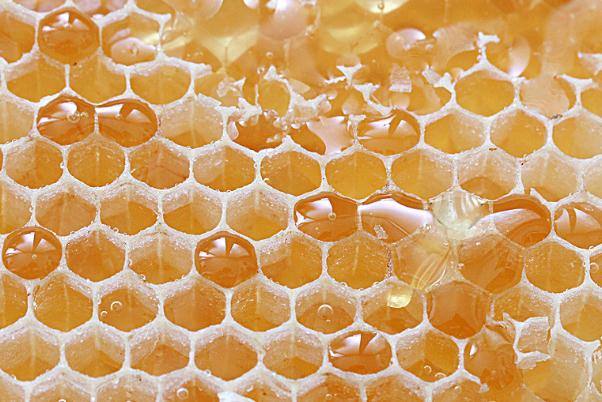 吃蜂巢蜜對身體有什么好處 女人吃蜂巢蜜有什么好處 吃蜂巢蜜對身體有什么好處 女人吃蜂巢蜜有什么好處