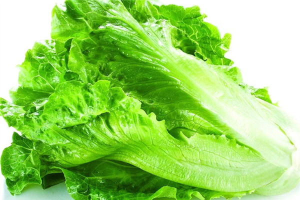 生菜減肥效果好嗎 生菜怎么吃減肥效果最好 生菜減肥效果好嗎 生菜怎么吃減肥效果最好