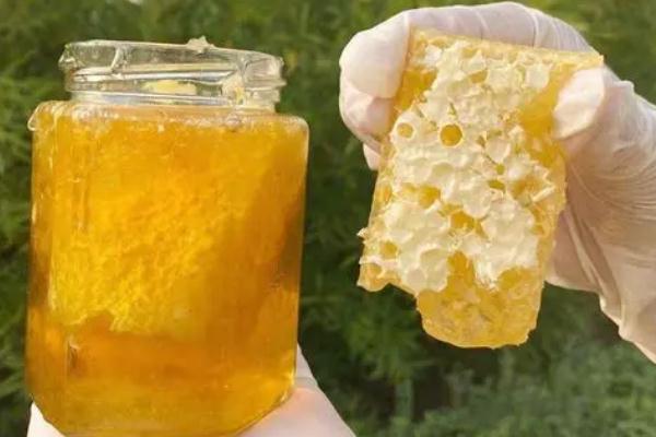 蜂巢蜜是新巢好還是老巢好 蜂巢蜜是不是特別甜 蜂巢蜜是新巢好還是老巢好 蜂巢蜜是不是特別甜