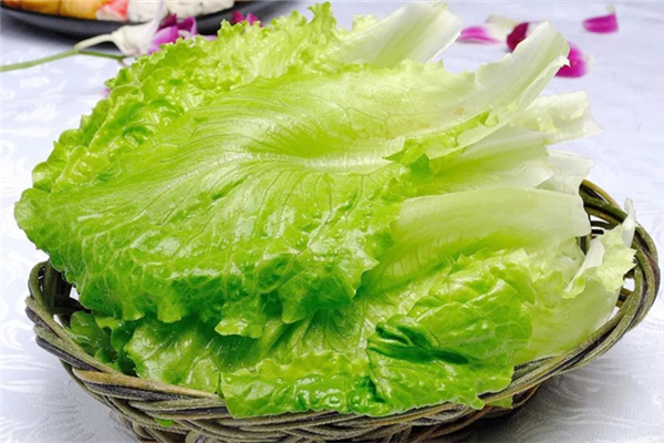 生菜對胃有傷害嗎 生菜的功效和作用 生菜對胃有傷害嗎 生菜的功效和作用