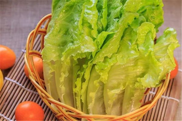 生菜半生不熟的能吃嗎 生菜多久能熟 生菜半生不熟的能吃嗎 生菜多久能熟