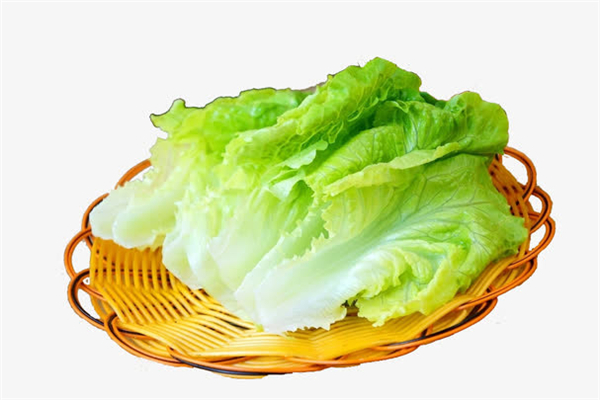 生菜減肥效果好嗎 生菜怎么吃減肥效果最好 生菜減肥效果好嗎 生菜怎么吃減肥效果最好