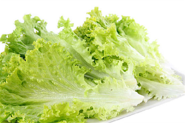 生菜是高嘌呤食物嗎 生菜不適合哪些人群吃 生菜是高嘌呤食物嗎 生菜不適合哪些人群吃