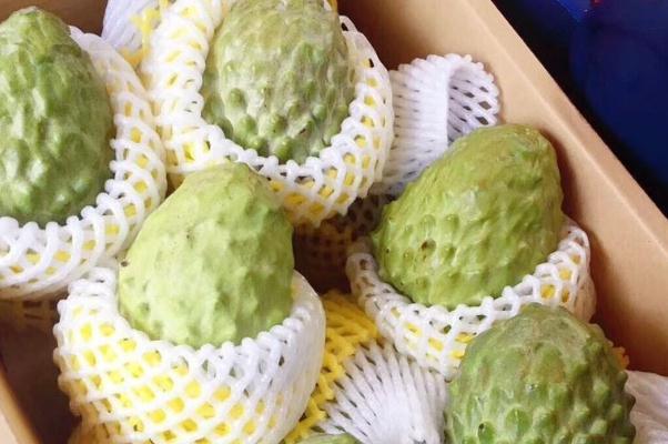 釋迦果是什么季節(jié)的水果 釋迦果是什么味道 釋迦果是什么季節(jié)的水果 釋迦果是什么味道