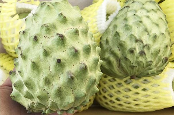 釋迦果可以生吃嗎 釋迦果能放幾天 釋迦果可以生吃嗎 釋迦果能放幾天