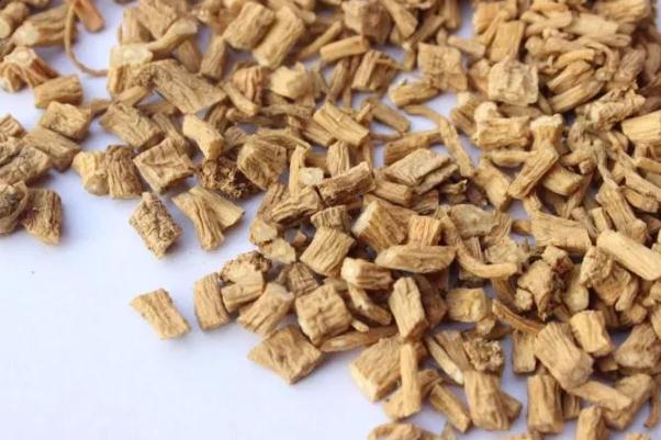 黨參可以天天泡水喝嗎 黨參可以直接嚼著吃嗎 黨參可以天天泡水喝嗎 黨參可以直接嚼著吃嗎