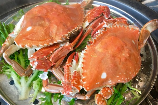 梭子蟹會(huì)痛風(fēng)嗎 梭子蟹不適合什么人吃 梭子蟹會(huì)痛風(fēng)嗎 梭子蟹不適合什么人吃