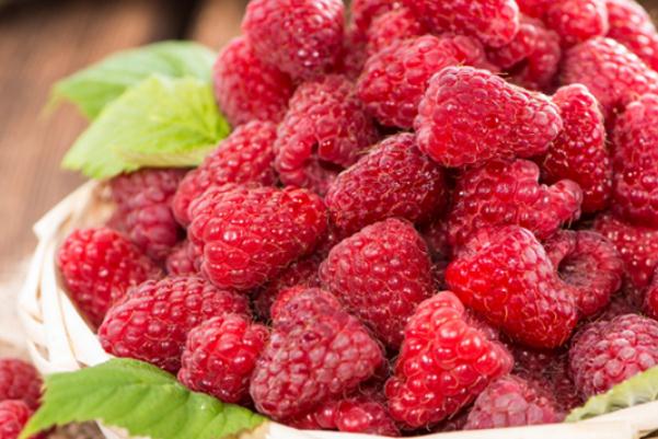 樹莓可以冷凍保存嗎 樹莓可以和酸奶一起吃嗎 樹莓可以冷凍保存嗎 樹莓可以和酸奶一起吃嗎