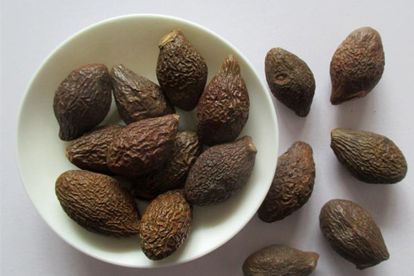 胖大海一天喝幾次 胖大海每次泡幾個 胖大海一天喝幾次 胖大海每次泡幾個