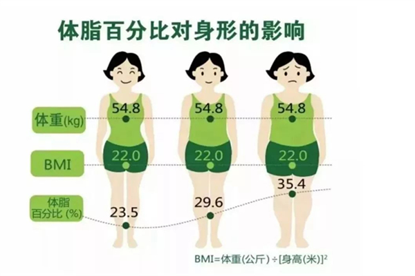 體脂率下降了說明什么 體脂率多少算瘦 體脂率下降了說明什么 體脂率多少算瘦