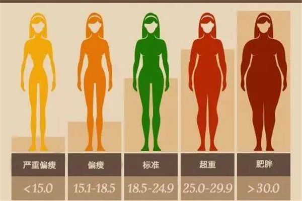 體脂率下降了說明什么 體脂率多少算瘦 體脂率下降了說明什么 體脂率多少算瘦