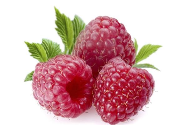 樹莓可以冷凍保存嗎 樹莓可以和酸奶一起吃嗎 樹莓可以冷凍保存嗎 樹莓可以和酸奶一起吃嗎